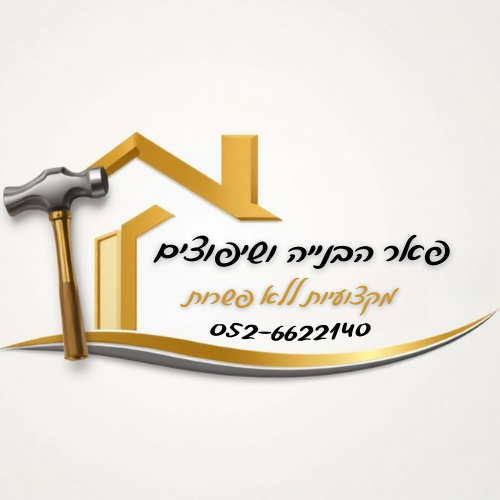 עיצוב לוגו מקצועי