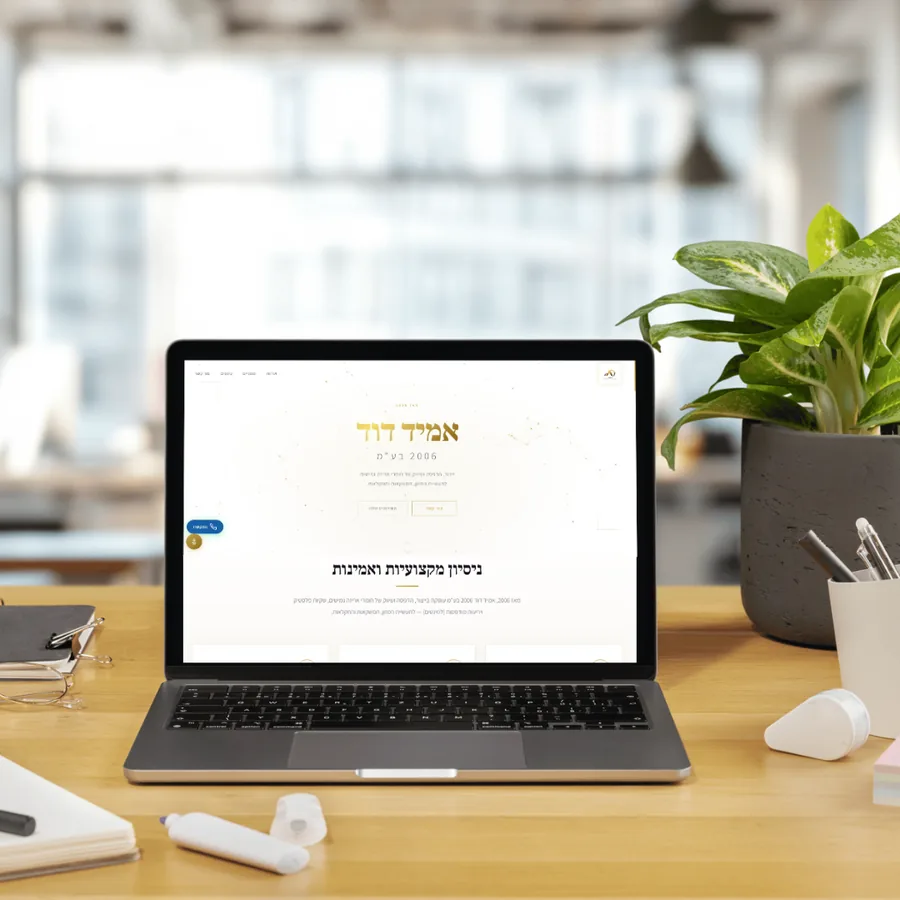 אתר אמיד דוד 2006